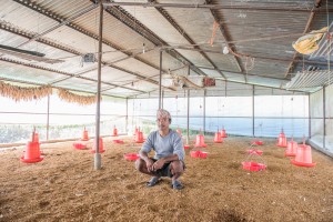 Dhaku Narayan Shrestha in his chicken hut